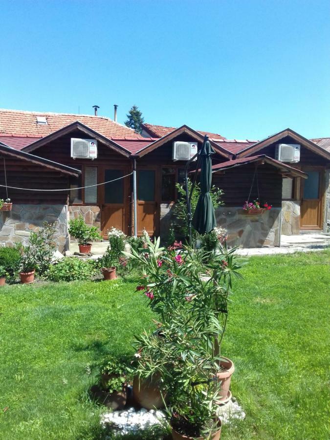 Къща Момина Сълза Hotel Sapareva Banya Buitenkant foto